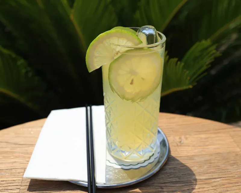 Ev Yapımı Limonata