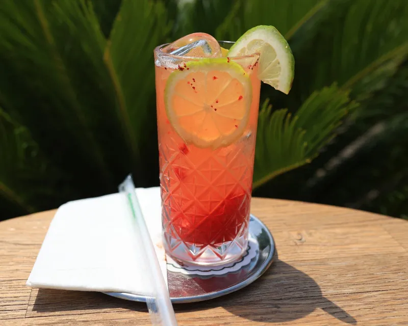 Ev Yapımı Limonata (Çilekli/Naneli)