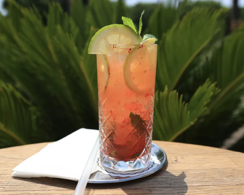 Mojito (Çilek/Mango)